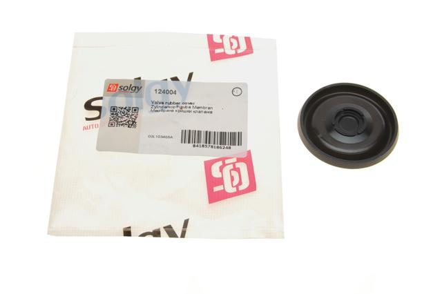 Купить 124004 Solgy Клапанная крышка