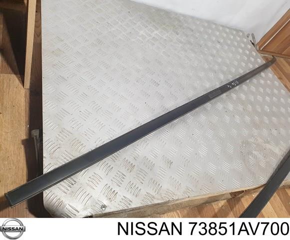 Moldura do teto esquerda para Nissan Primera (WP12)