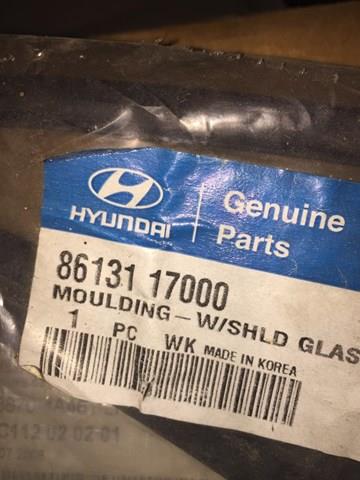 Moldeado del parabrisas 8613117000 HYUNDAI