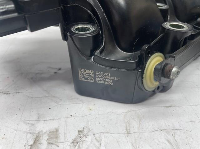 Впускной коллектор 55571993 General Motors