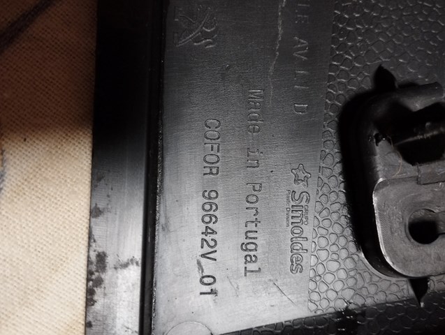 9816619377 Peugeot/Citroen 