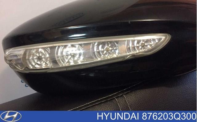  876203Q300 Hyundai/Kia