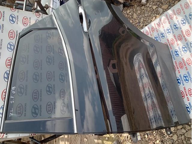 Купить 770034Z000 Hyundai/Kia Дверь задняя