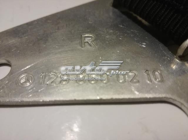A1298600210 Mercedes 
