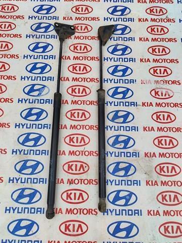 817714Z000 Hyundai/Kia Амортизатор крышки багажника