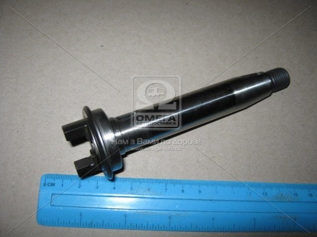  Bosch 2466100034