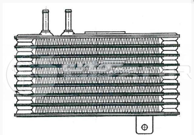 LOC1197 Luzar radiador de esfriamento, caixa automática de mudança