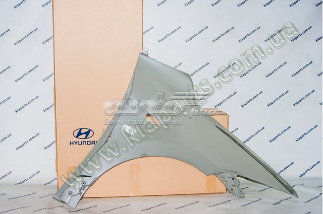 66310F2010 Hyundai/Kia Переднее левое крыло