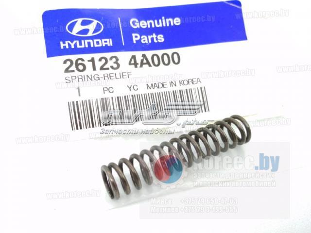Пружина клапана Hyundai/Kia 261234A000