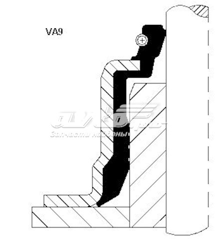 Сальник клапана (маслоз'йомного), впускного 49486112 CORTECO