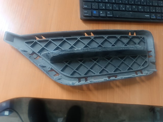 51117303757 BMW Решетка бампера переднего левая