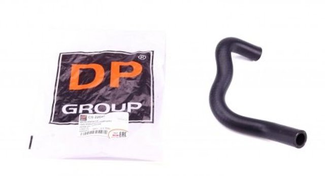  CS22040 DP Group