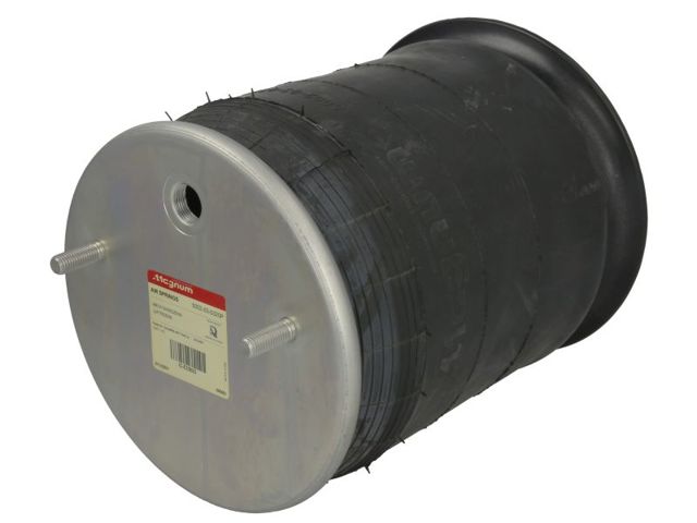 1DK20C571648 Phoenix Пневмоподушка моста