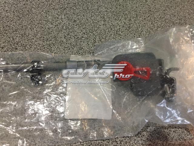  XR855610 Jaguar