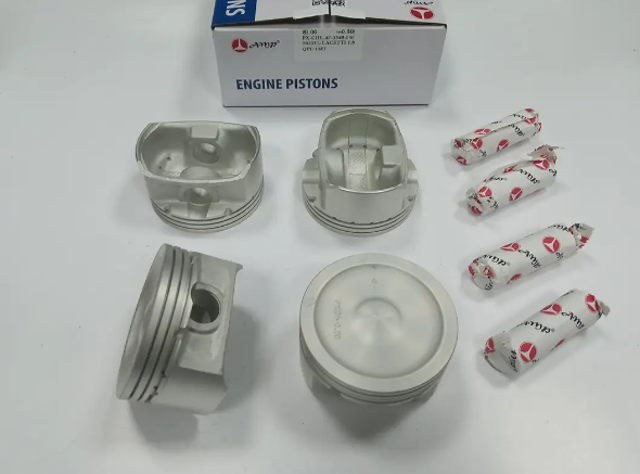 PXCHE4A3549050 AMP/Paradowscy 