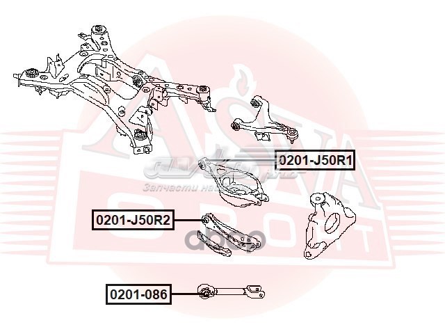 Сайлентблок тяги поперечной (задней подвески) ASVA 0201J50R2