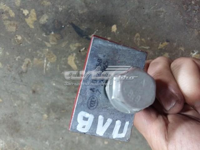  7246065 BMW