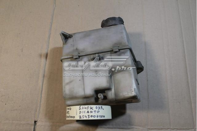 2543007100 Hyundai/Kia tanque de expansão do sistema de esfriamento