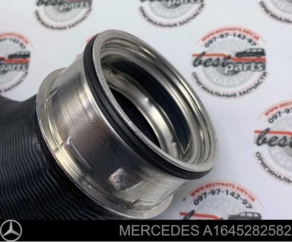 A1645282582 Mercedes mangueira (cano derivado direita de intercooler)