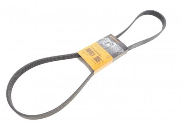 Correia dos conjuntos de transmissão Ford Kuga III DFK