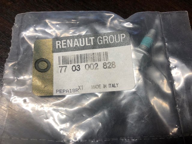  7703002828 Renault (RVI)