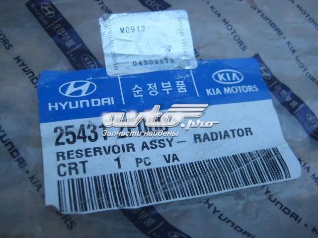 Купить Бачок системы охлаждения Киа Серато I LD