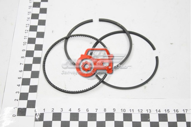 Кольца поршневые на 1 цилиндр, STD. Renault (RVI) 120332312R