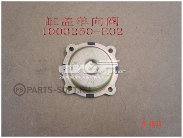  1003250E02 Great Wall