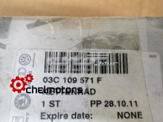 Engrenagem de cadeia da roda dentada da árvore distribuidora de motor VAG 03C109571F preço, a partir de 43,25 USD