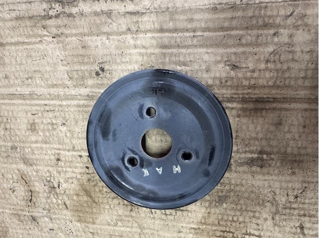 Compre Polia da bomba de água Hyundai Santa Fe 3