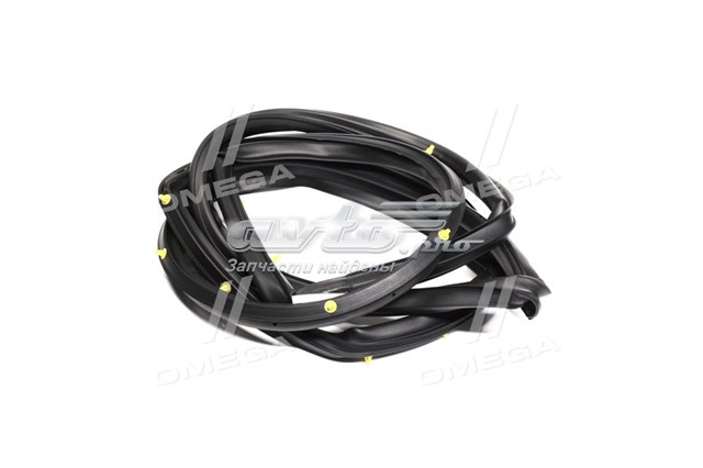 Junta de puerta trasera derecha (en carrocería) 96460194 GM