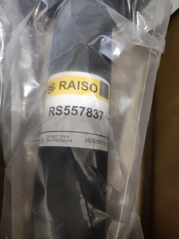 Амортизаторы передние Raiso RS557837