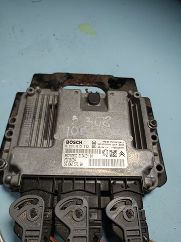0281013332 Peugeot/Citroen Мозги двигателя