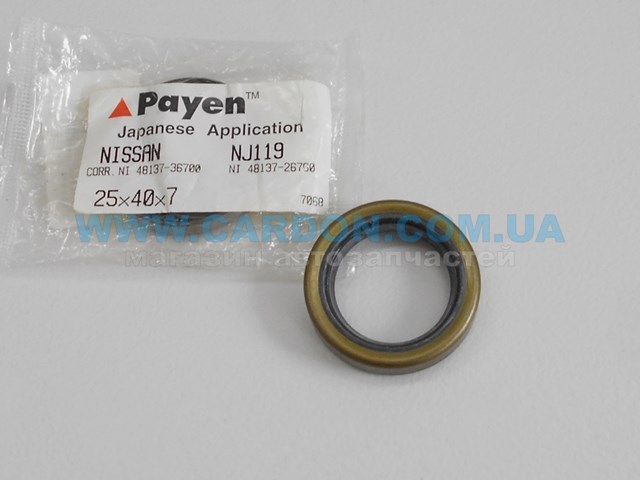 NJ119 Payen 