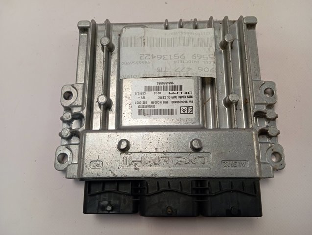 9666556980 Peugeot/Citroen 