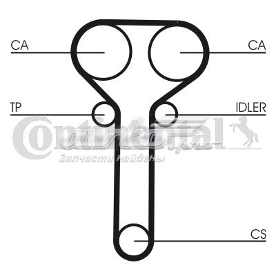 CT978 Continental correia do mecanismo de distribuição de gás