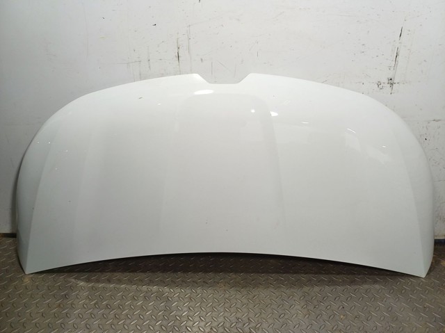 Капот 651002883R Renault (RVI)