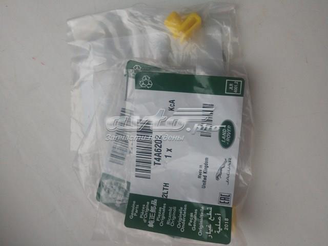 T4A6202 Jaguar 