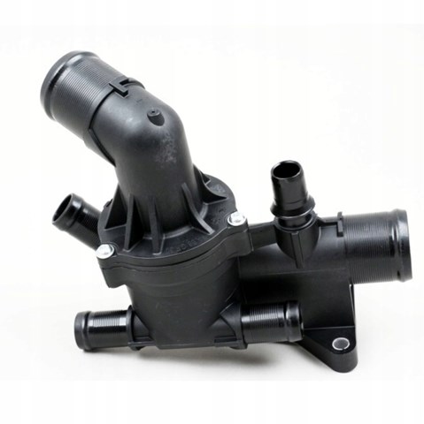 Caixa do termostato 110615482R Renault (RVI)