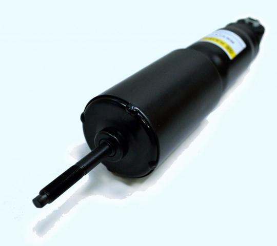 Амортизаторы передние Raiso RS105819