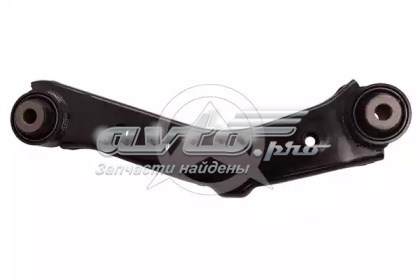 Диагональный рычаг на Hyundai Santa Fe II CM