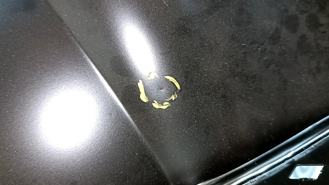 5237808 Ford 