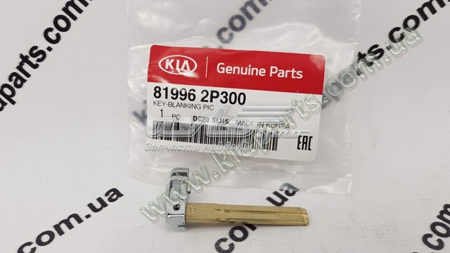 819962P300 Hyundai/Kia 