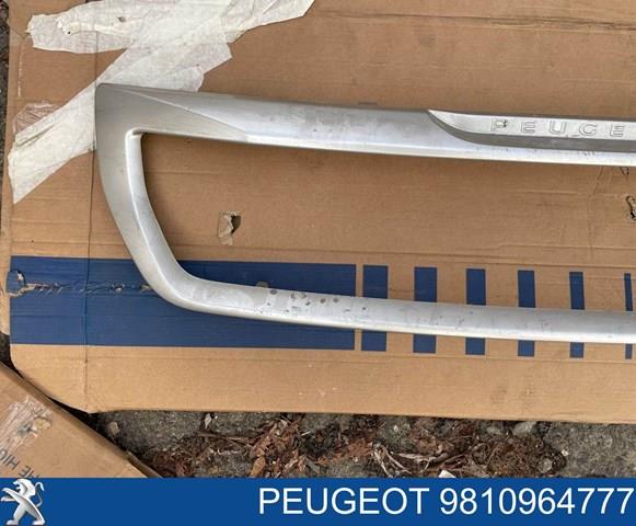 Купить FP5427991 FPS Решетка радиатора