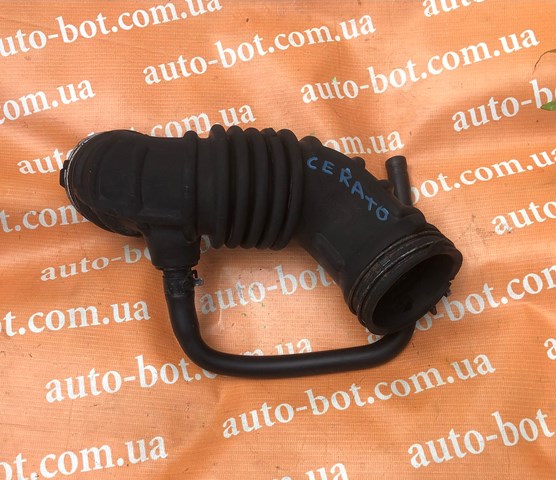  Hyundai/Kia 281382F800