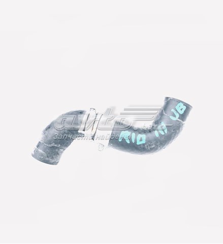 Купить T13528 Gros 