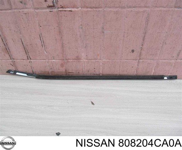 808204CA0A Nissan/Infiniti 
