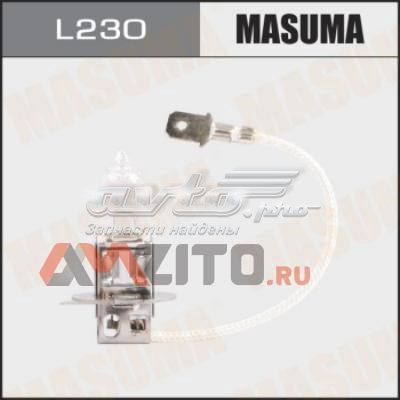 L230 Masuma 