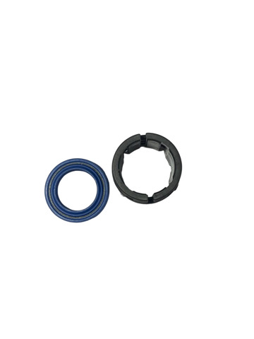 RV1001KIT MSG 