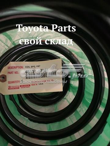 Передняя пружина 4192511 Lesjofors